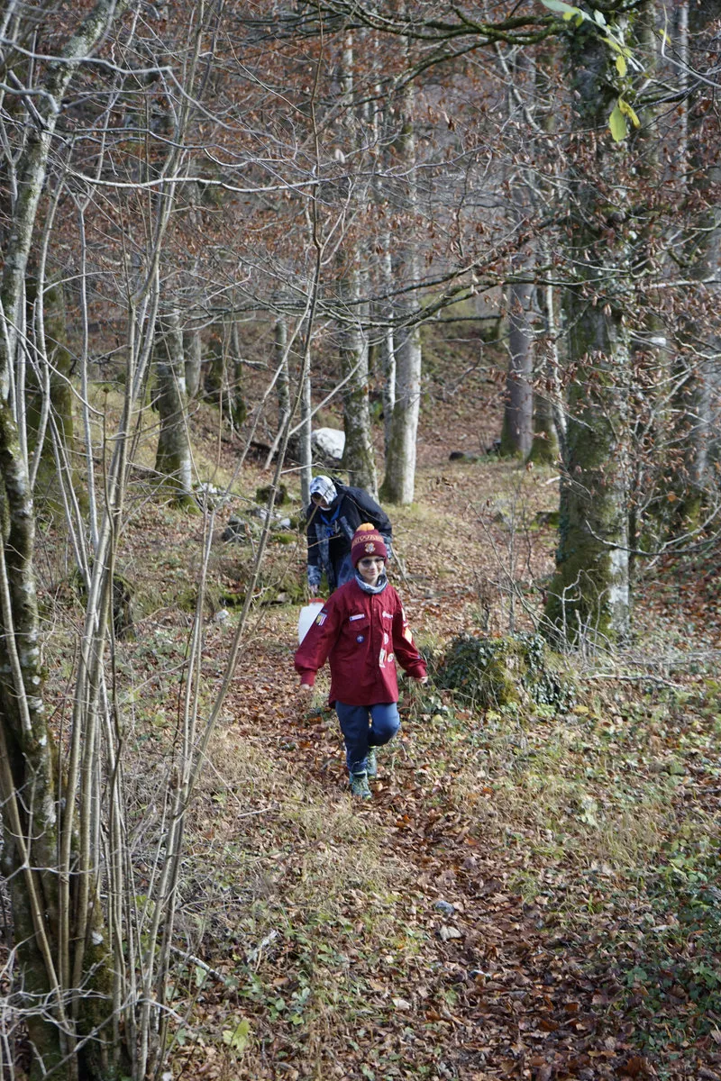 Späher wandern auf einem Waldweg durch den herbstlichen Wald