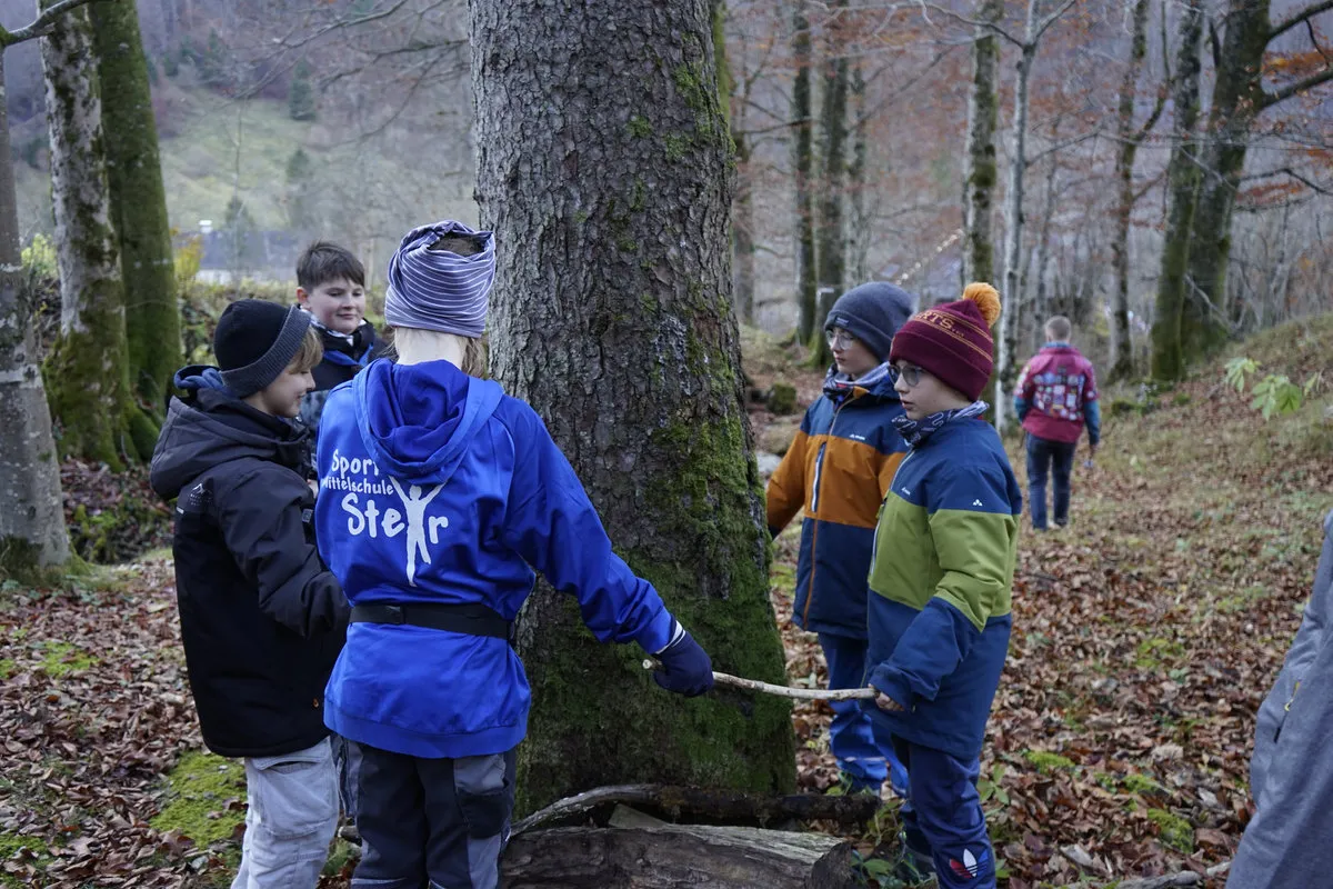 Späher in Pfadfinderjacken an einem Baum im herbstlichen Wald, einer zeigt mit einem Stock auf die Rinde
